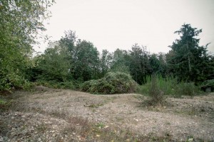 2015-09-03 10.23.49