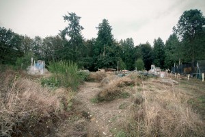 2015-09-03 10.35.29