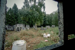 2015-09-03 10.59.26